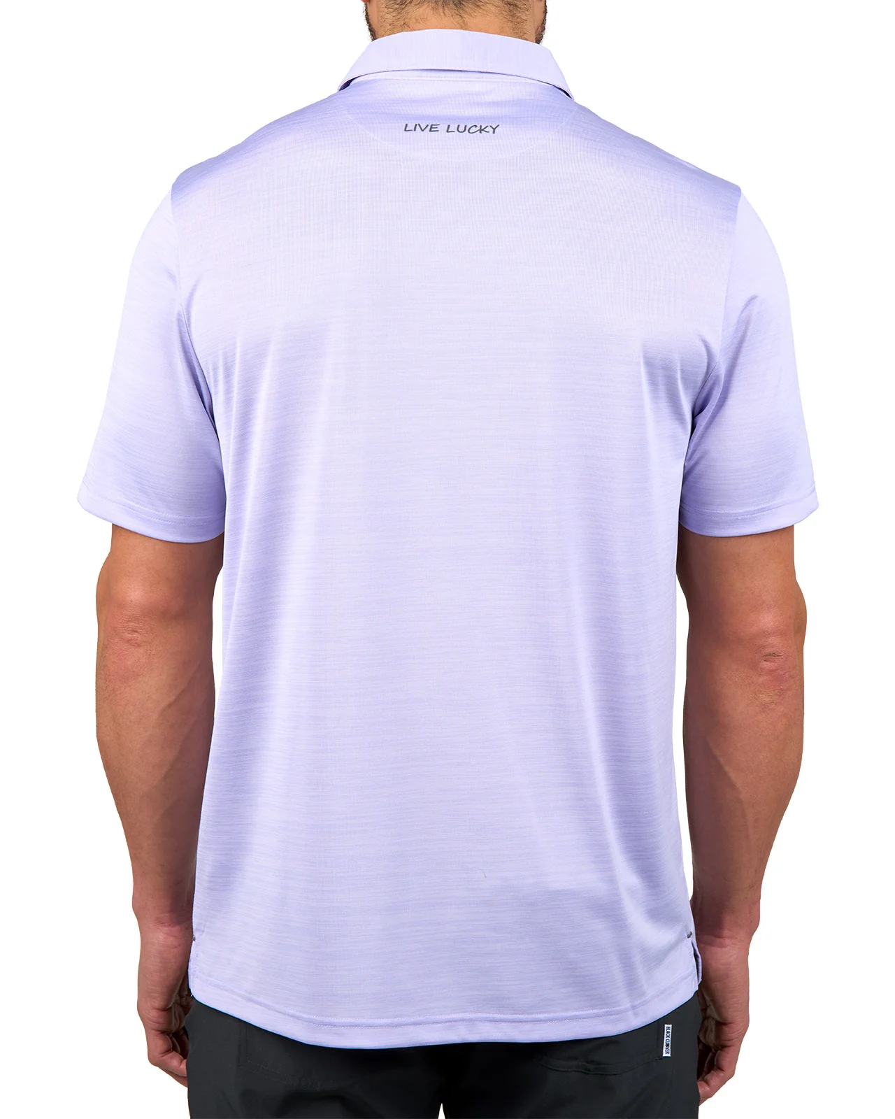 Asher - Image 3