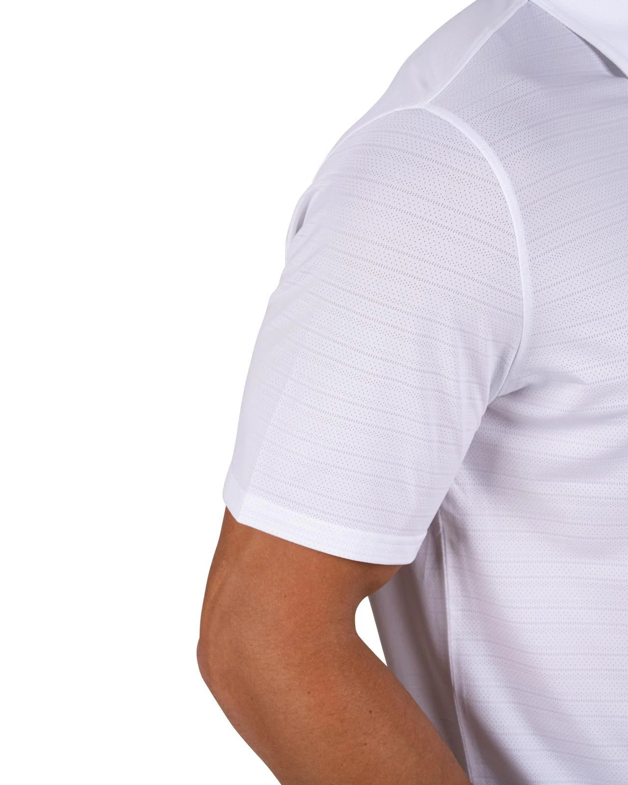Beau Polo - Image 5
