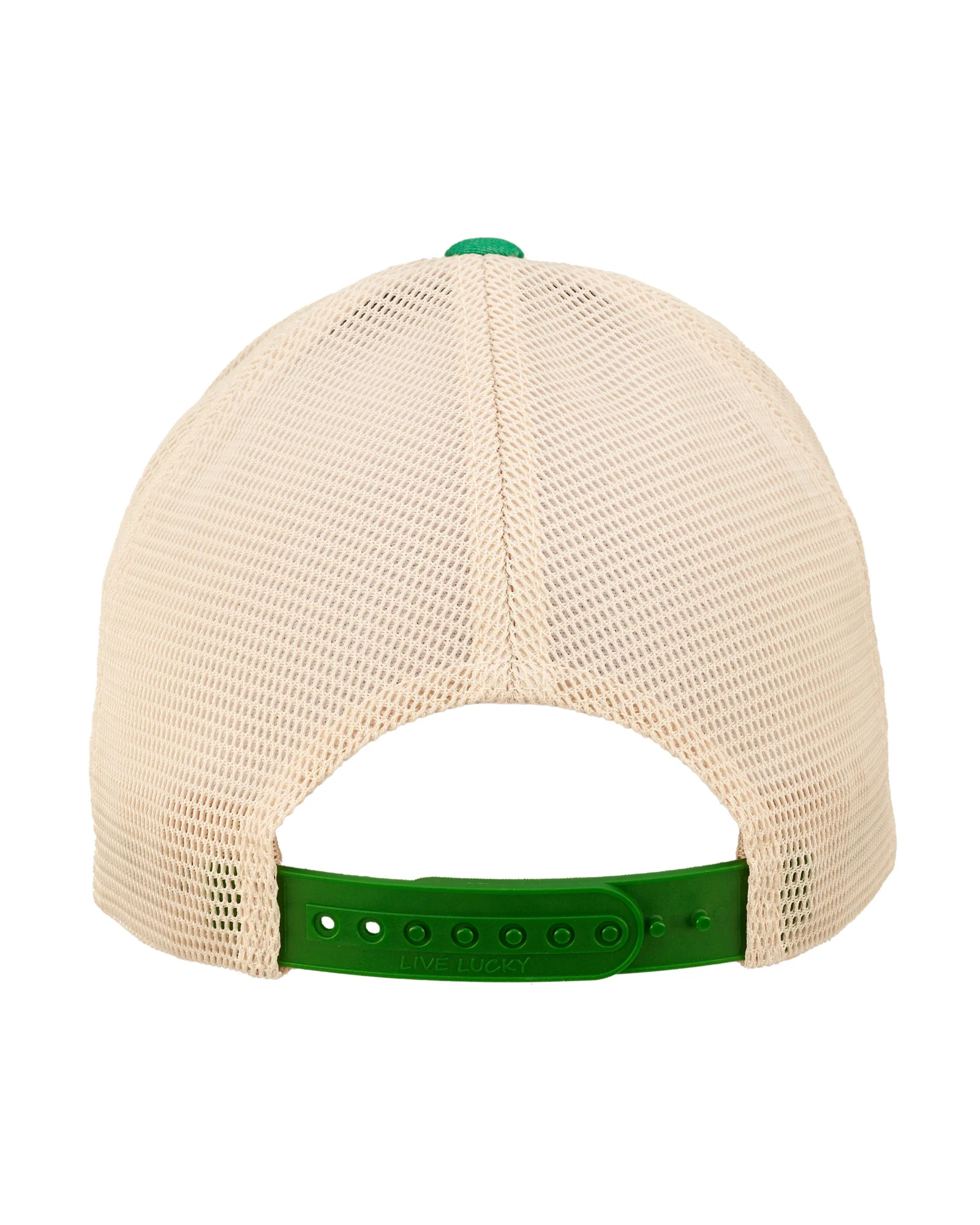 Birch - Image 5