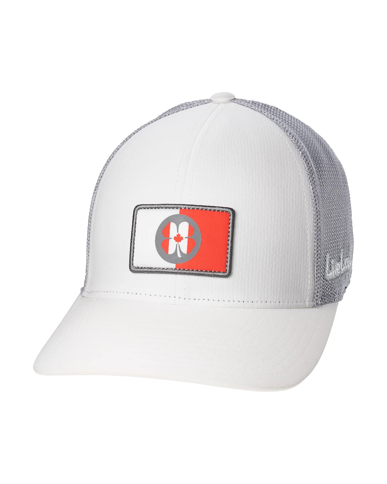 Canada Shield - Image 3