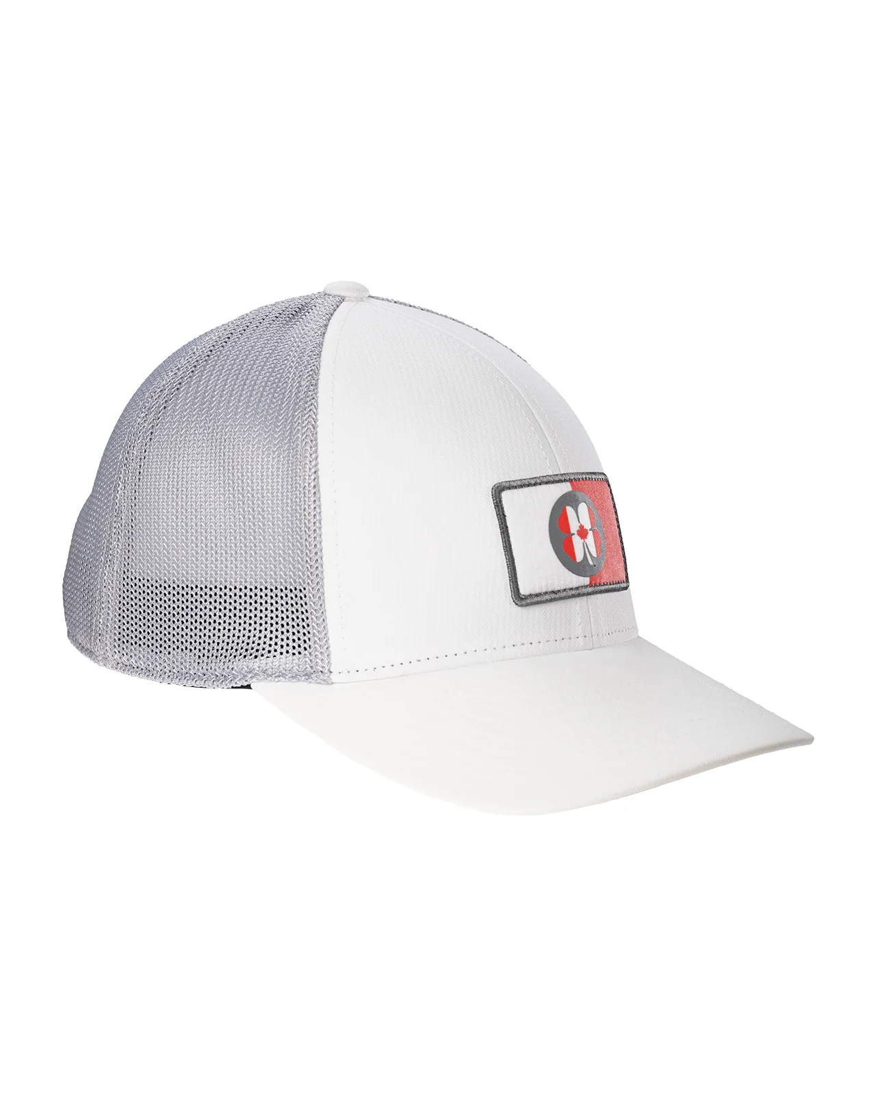Canada Shield - Image 7