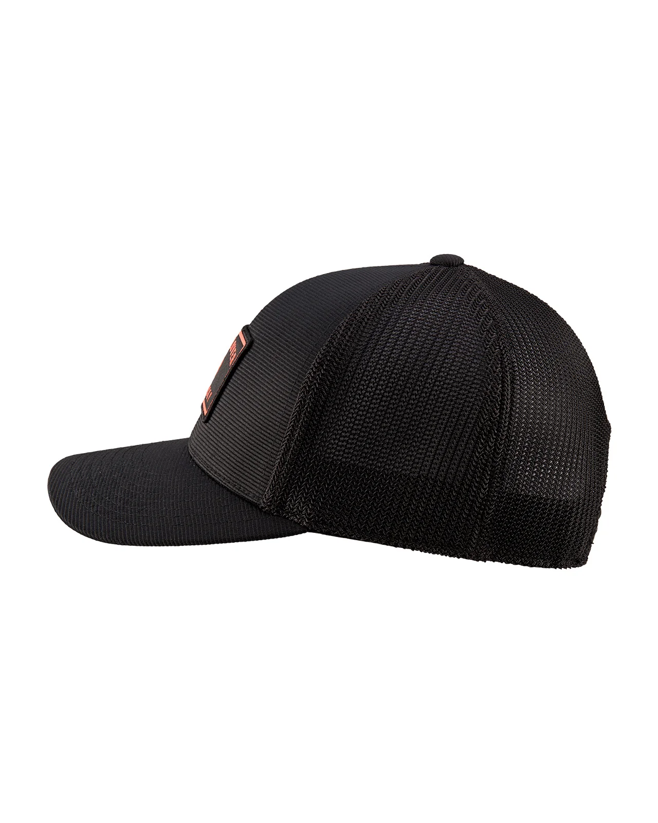 Carl - Image 5