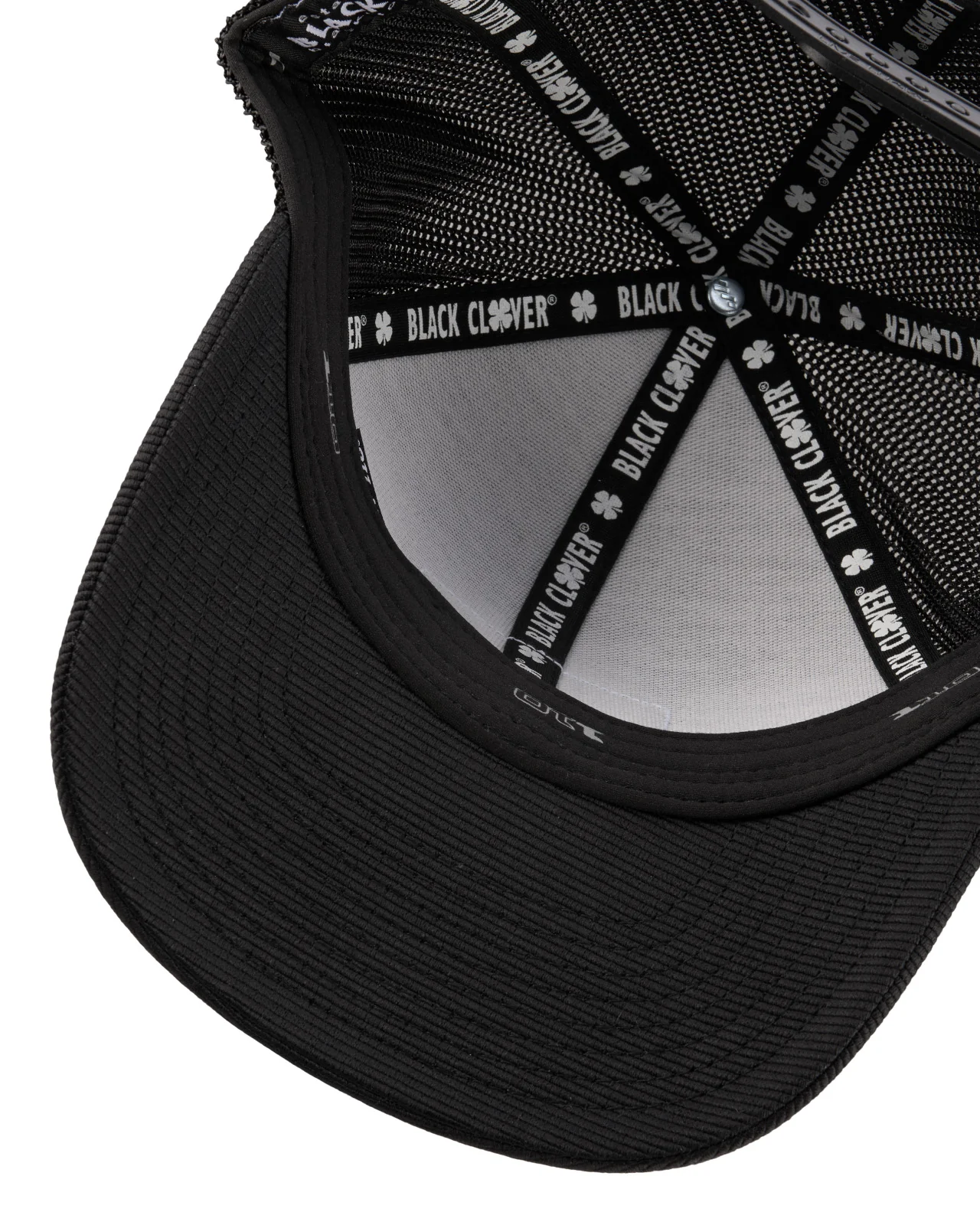 Carl - Image 6