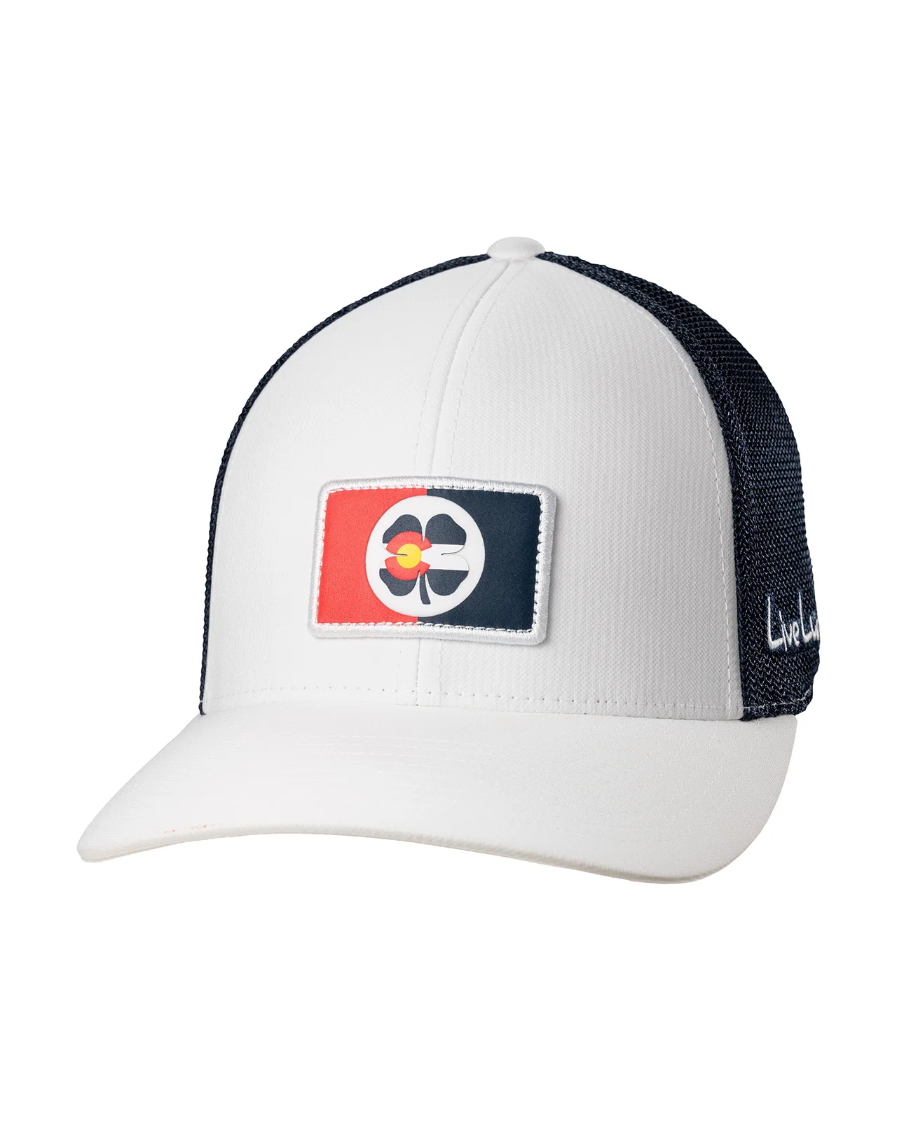 Colorado Shield - Image 3