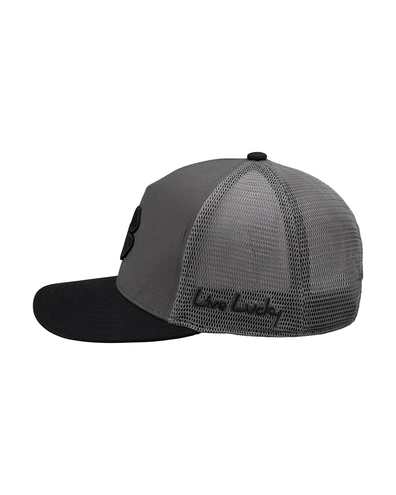 Hardy 9 - Image 4