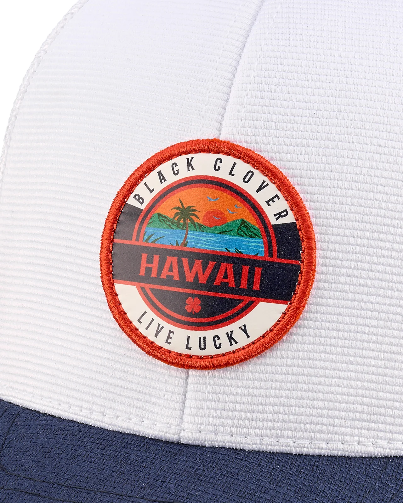 Hawaii Prime - Image 4