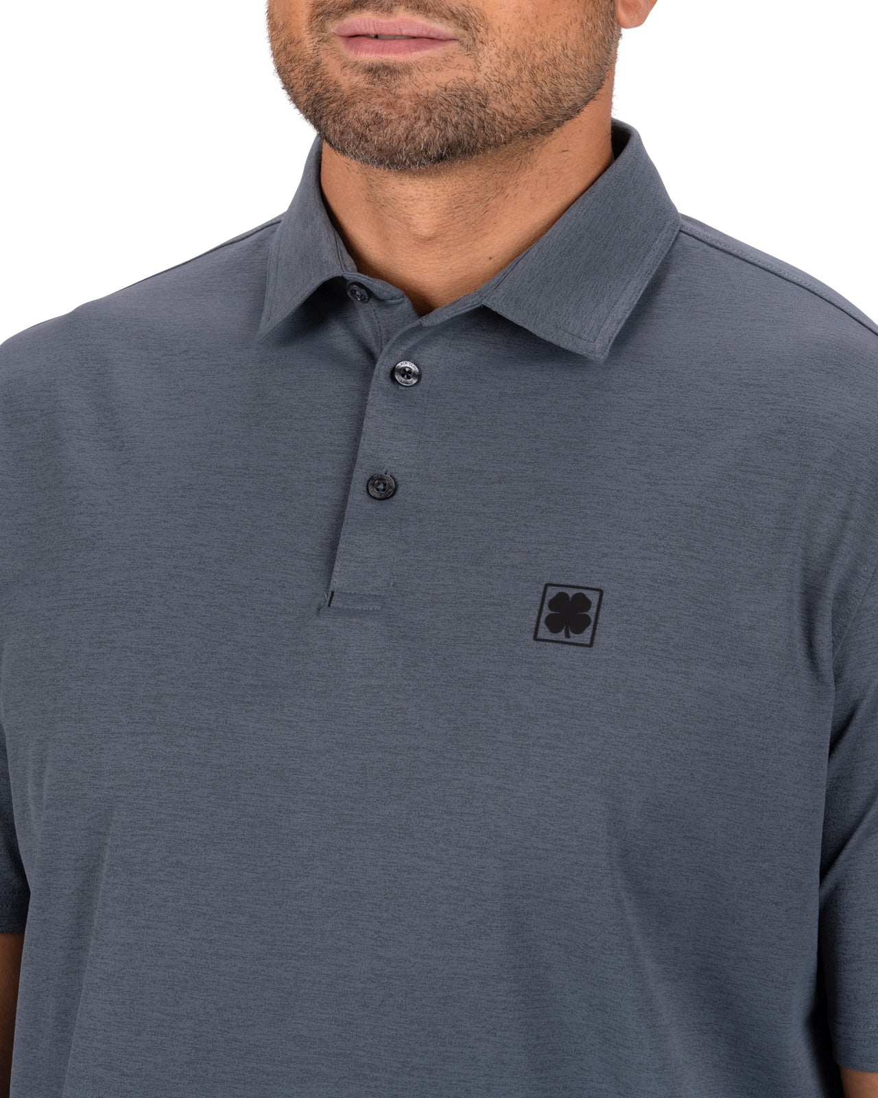 Hayden Polo - Image 2