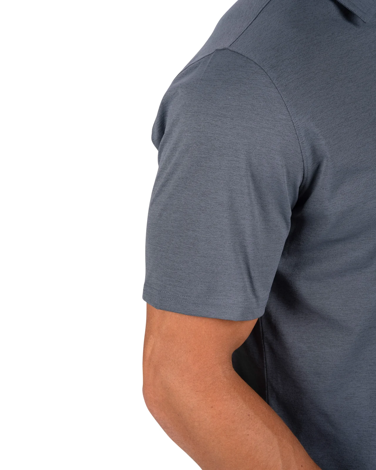 Hayden Polo - Image 5
