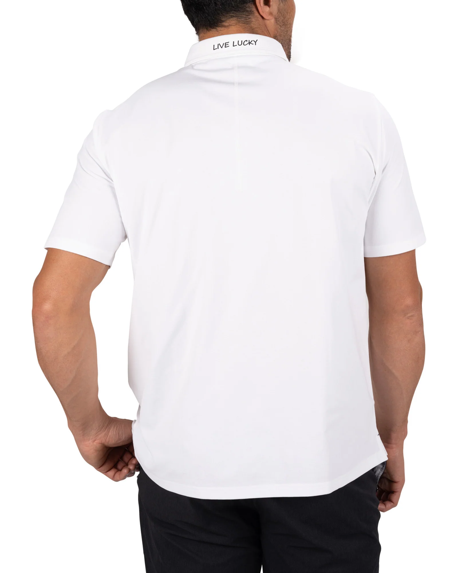 Hayden Polo - Image 3