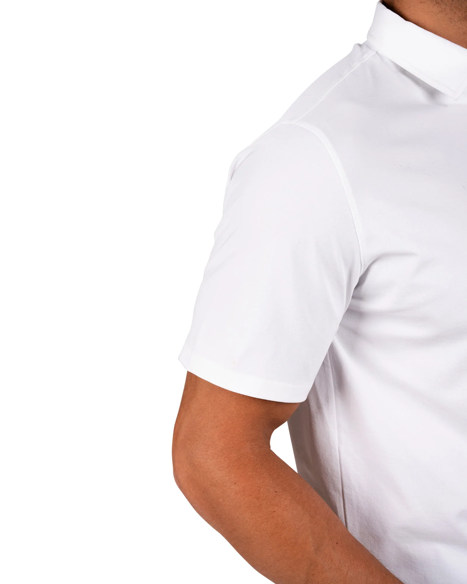 Hayden Polo - Image 5