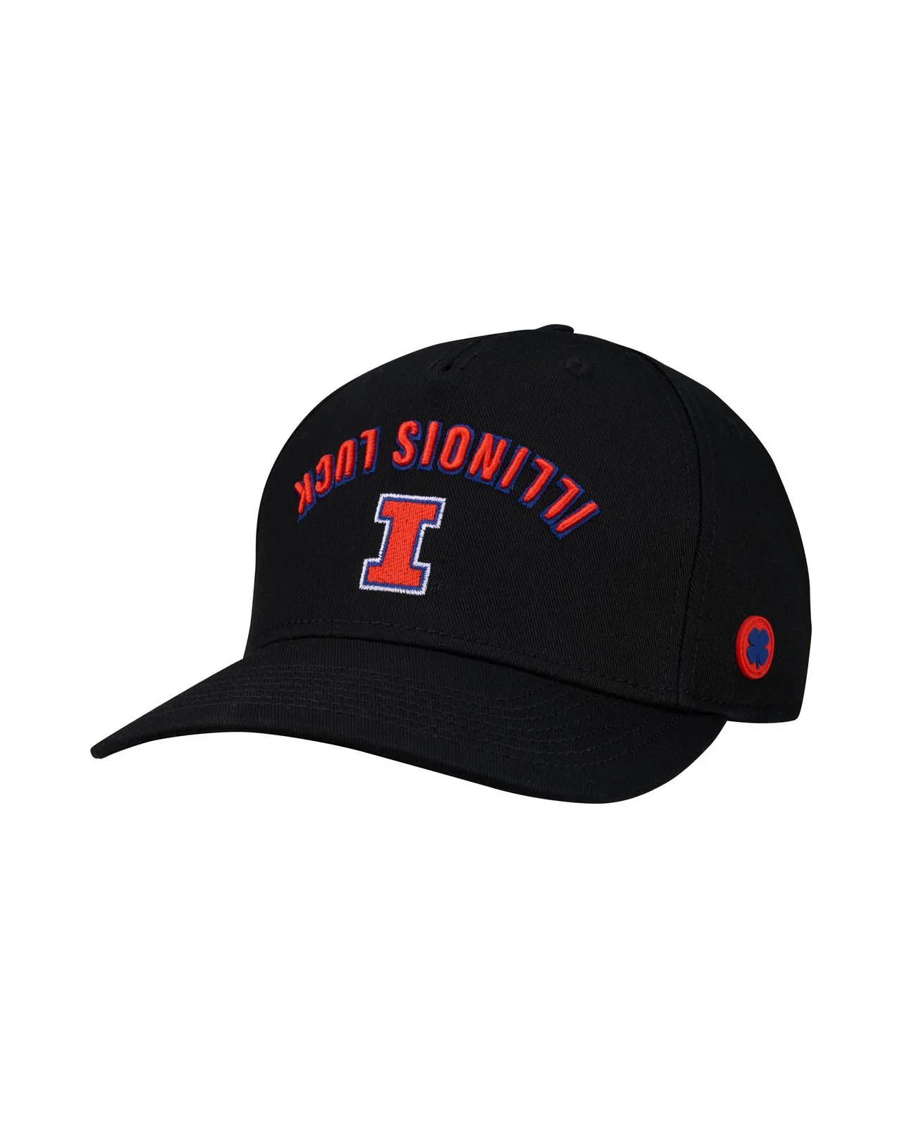 Illinois Game Day - Image 2