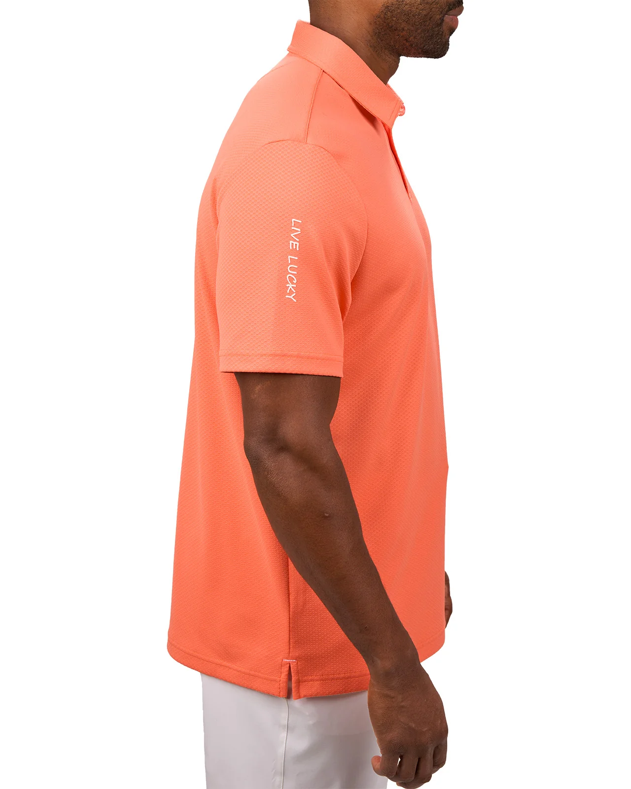 Johnnie - Image 5