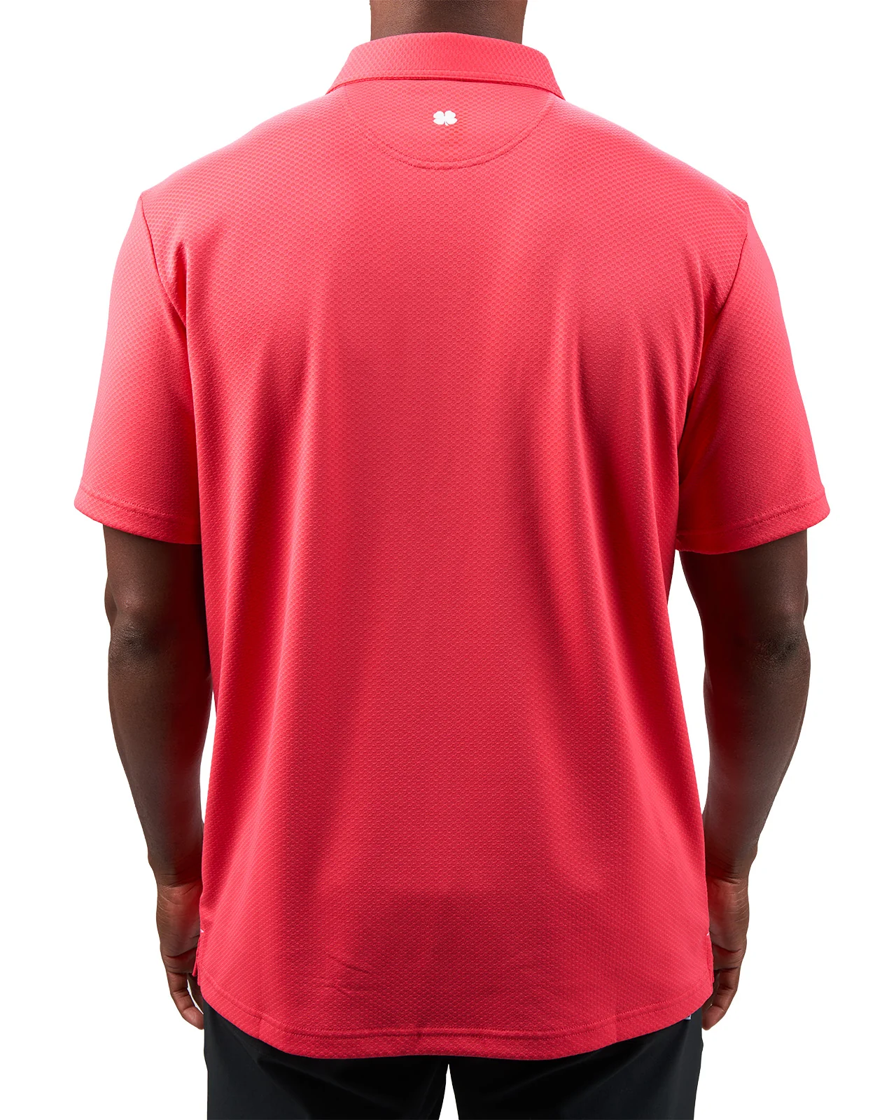 Johnnie - Image 4