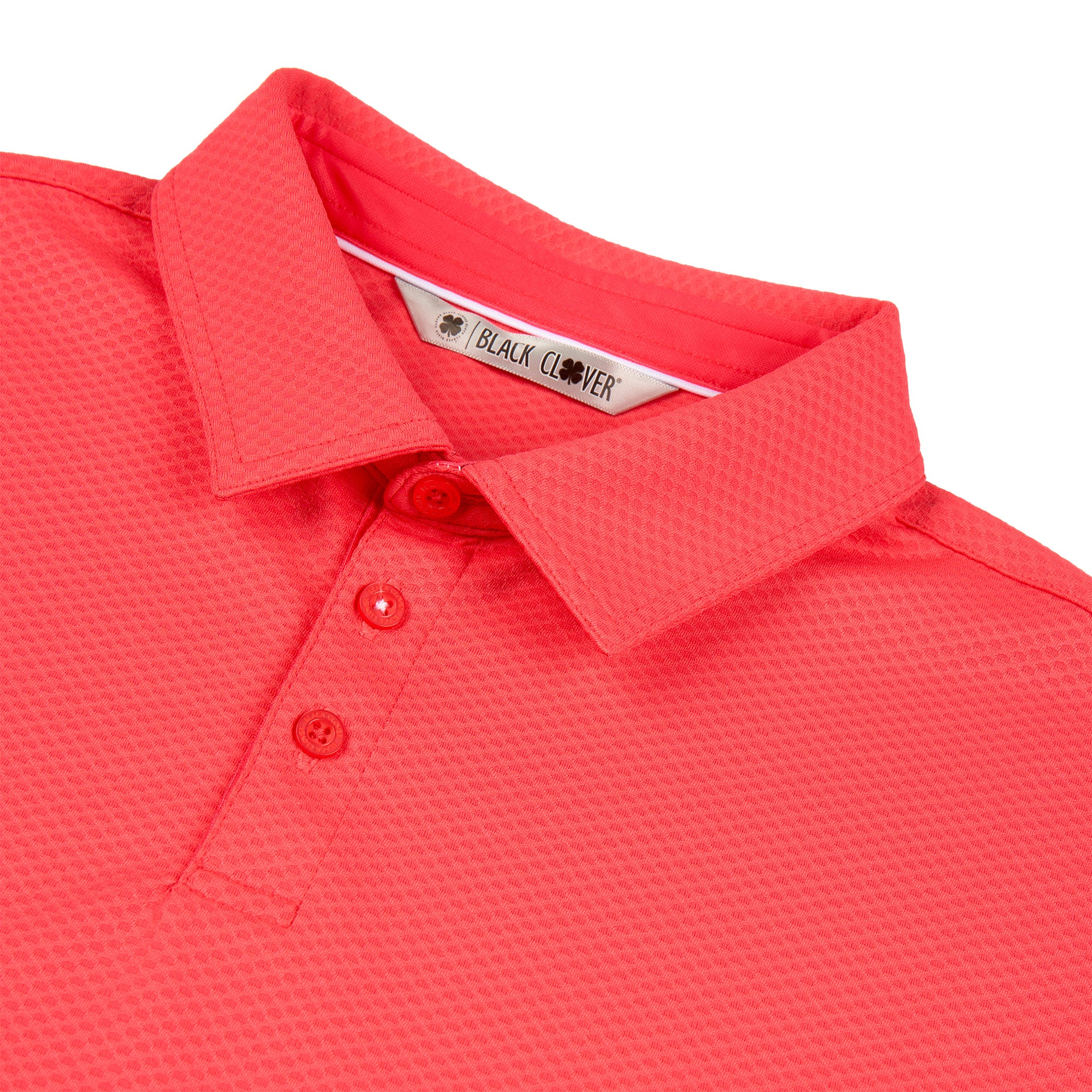 Johnnie - Image 7