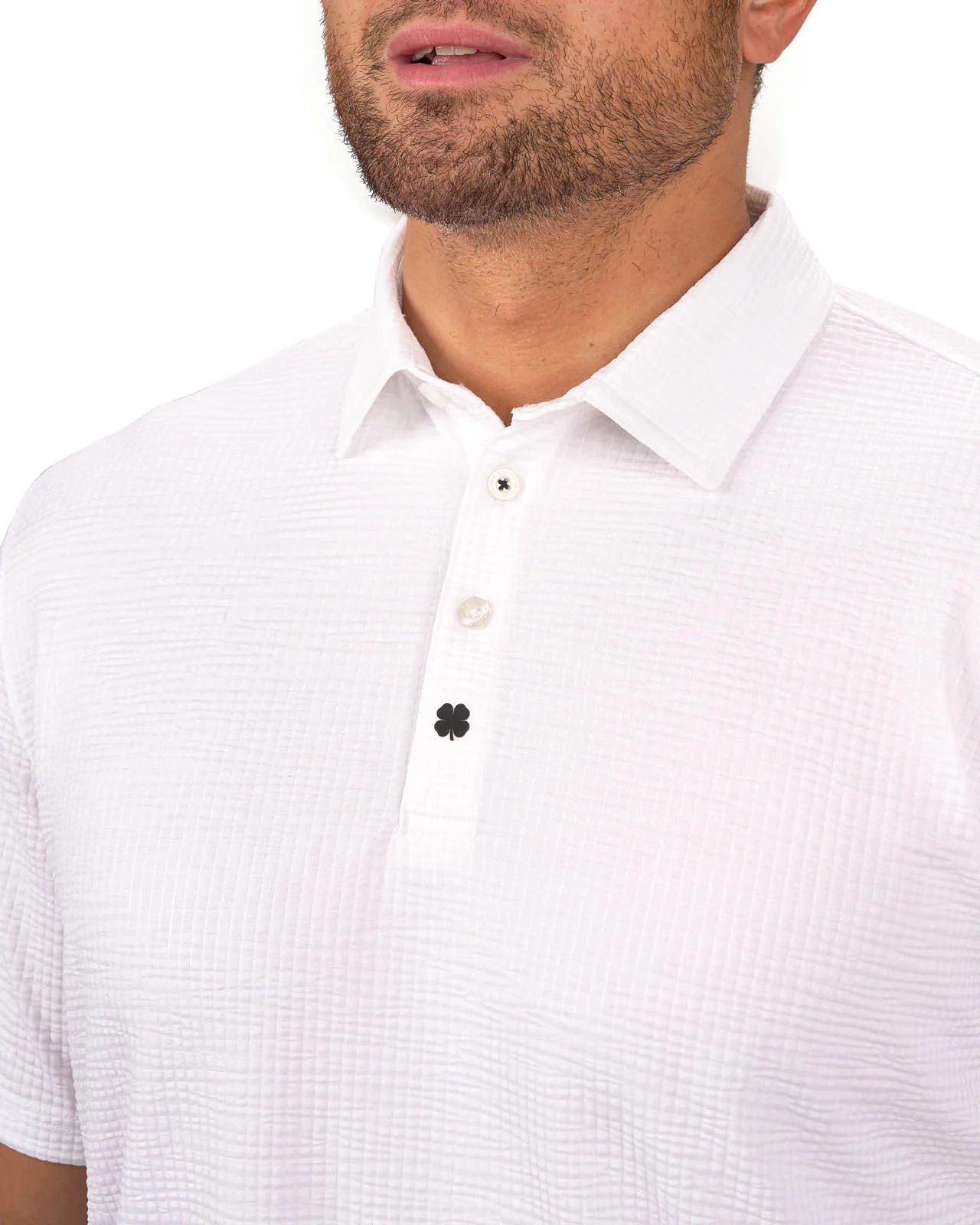 Marco - Image 2