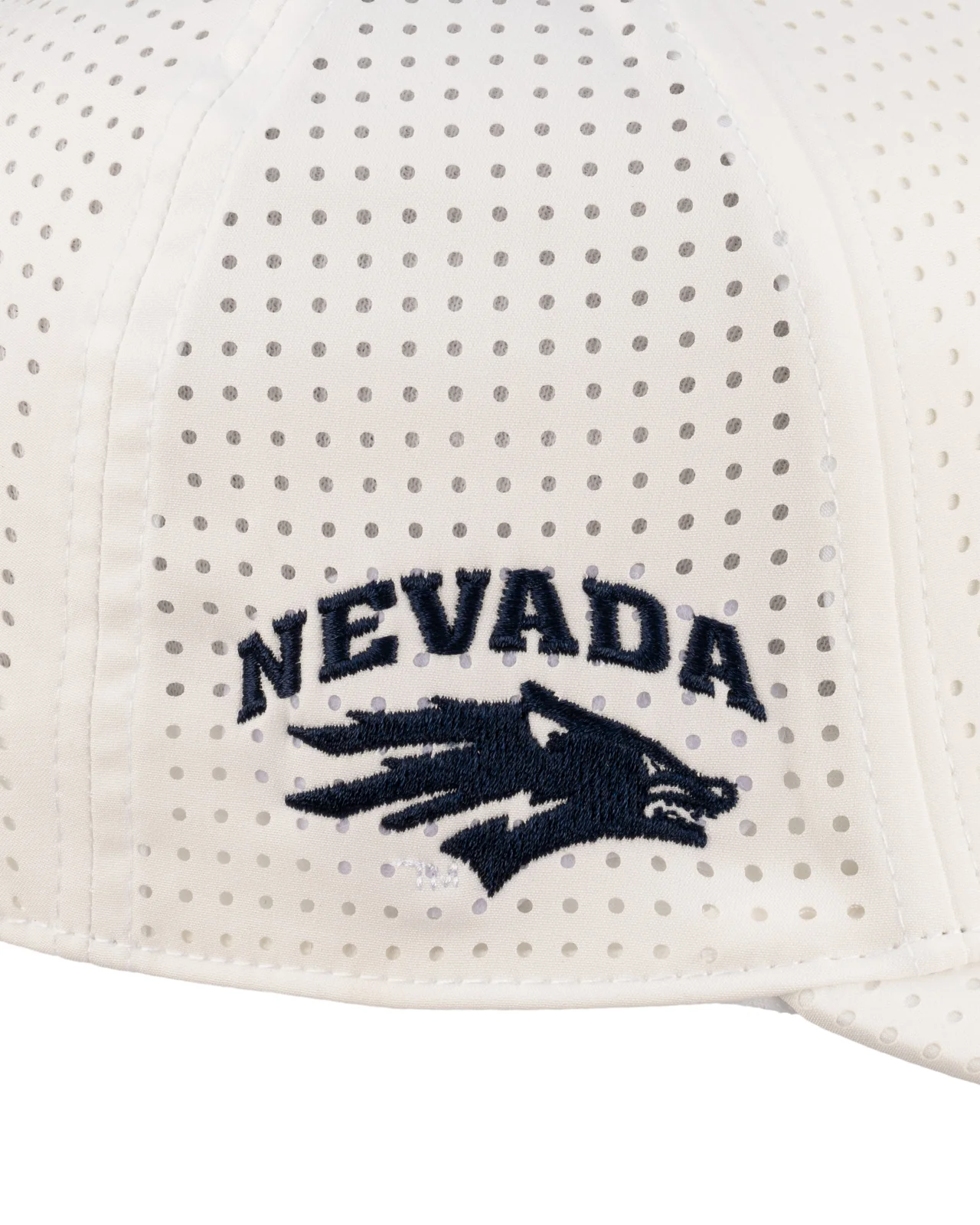Nevada-Reno Laser - Image 10