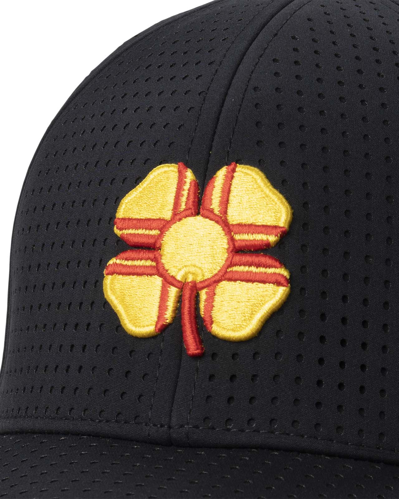 New Mexico Perf - Image 7