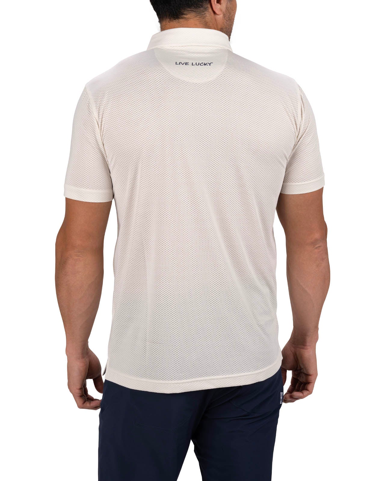 Ollie Polo - Image 3