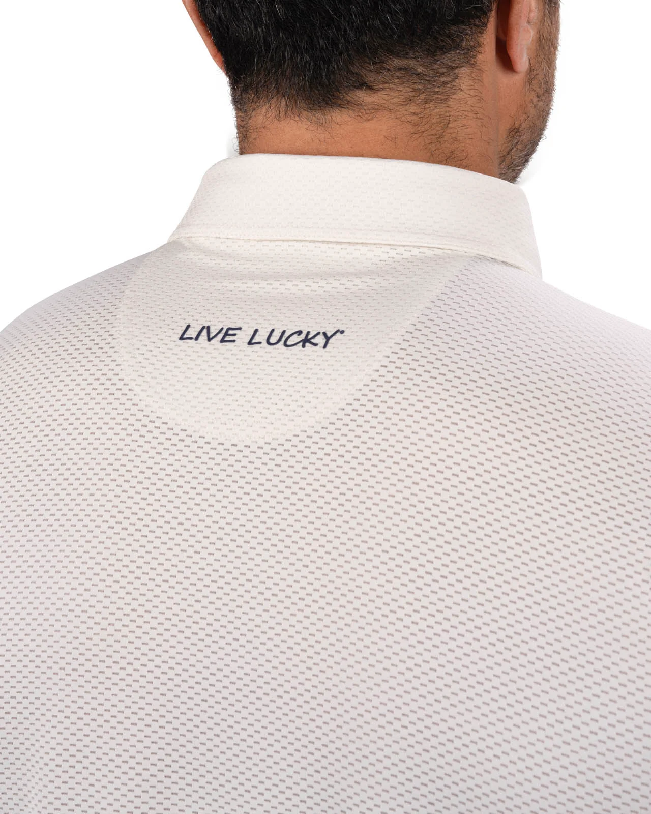Ollie Polo - Image 4