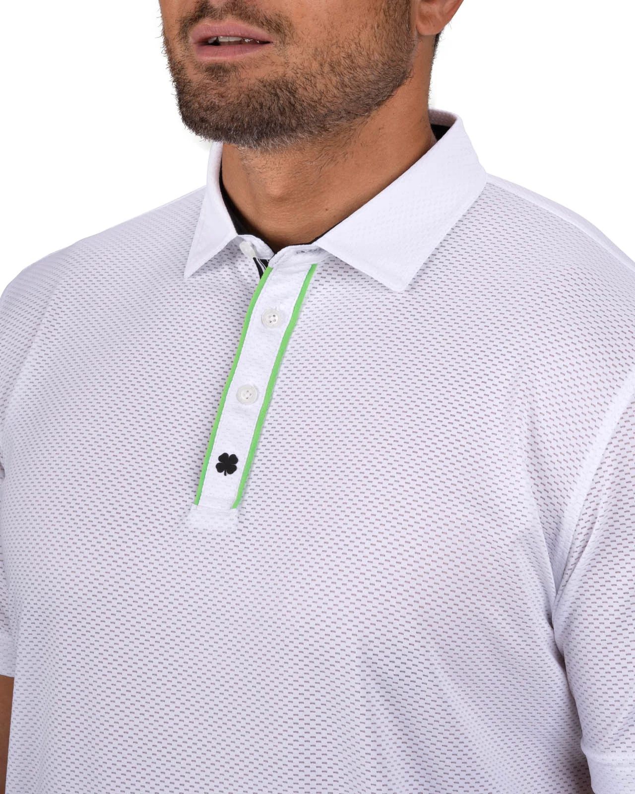 Ollie Polo - Image 2