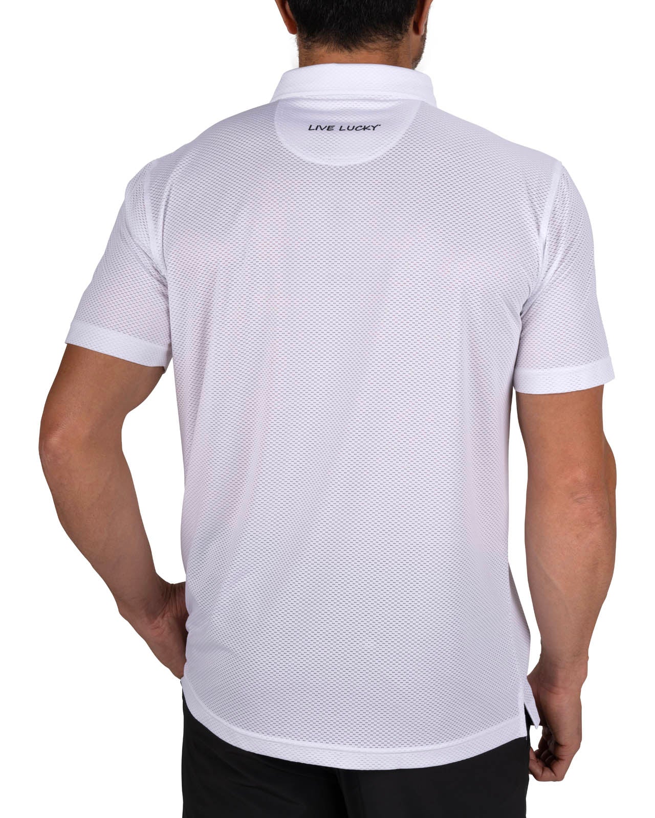 Ollie Polo - Image 3