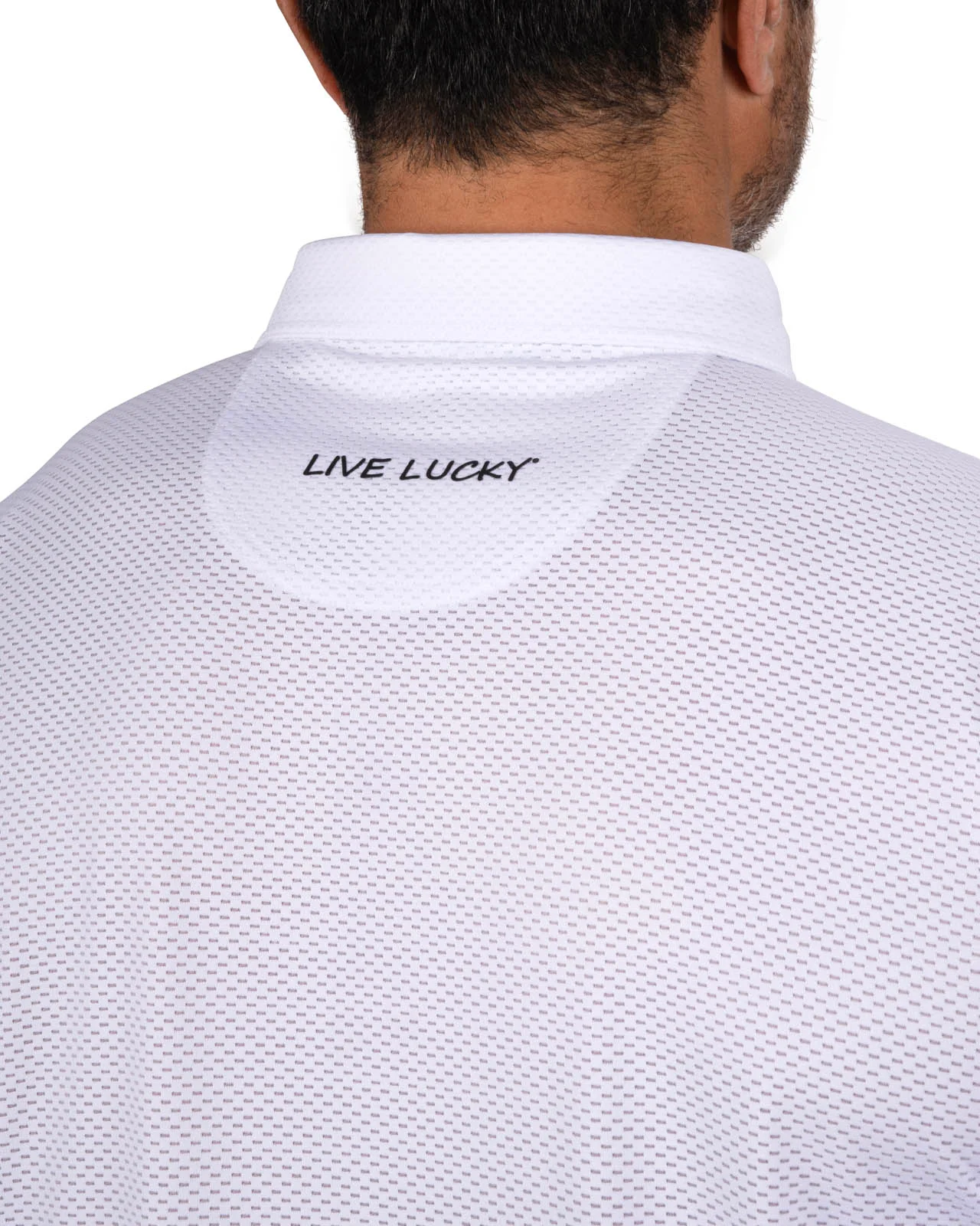 Ollie Polo - Image 4