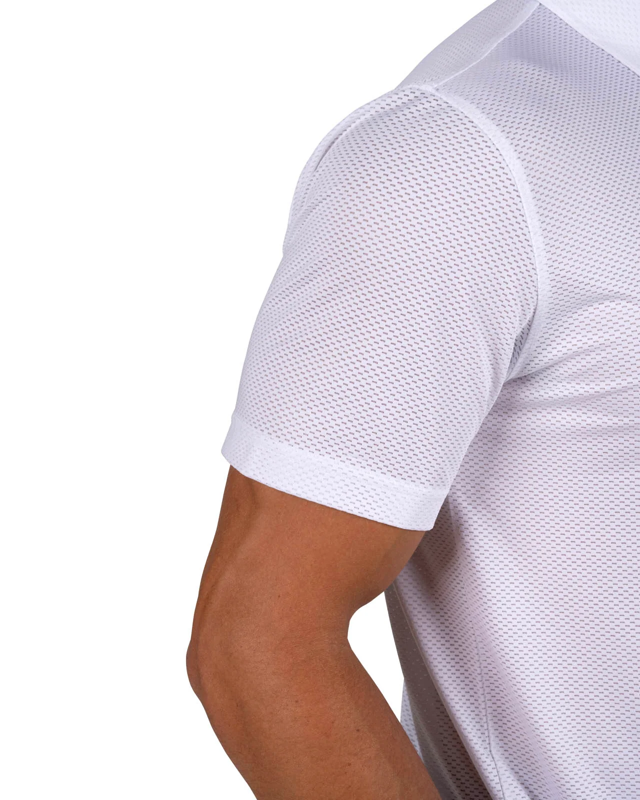 Ollie Polo - Image 5