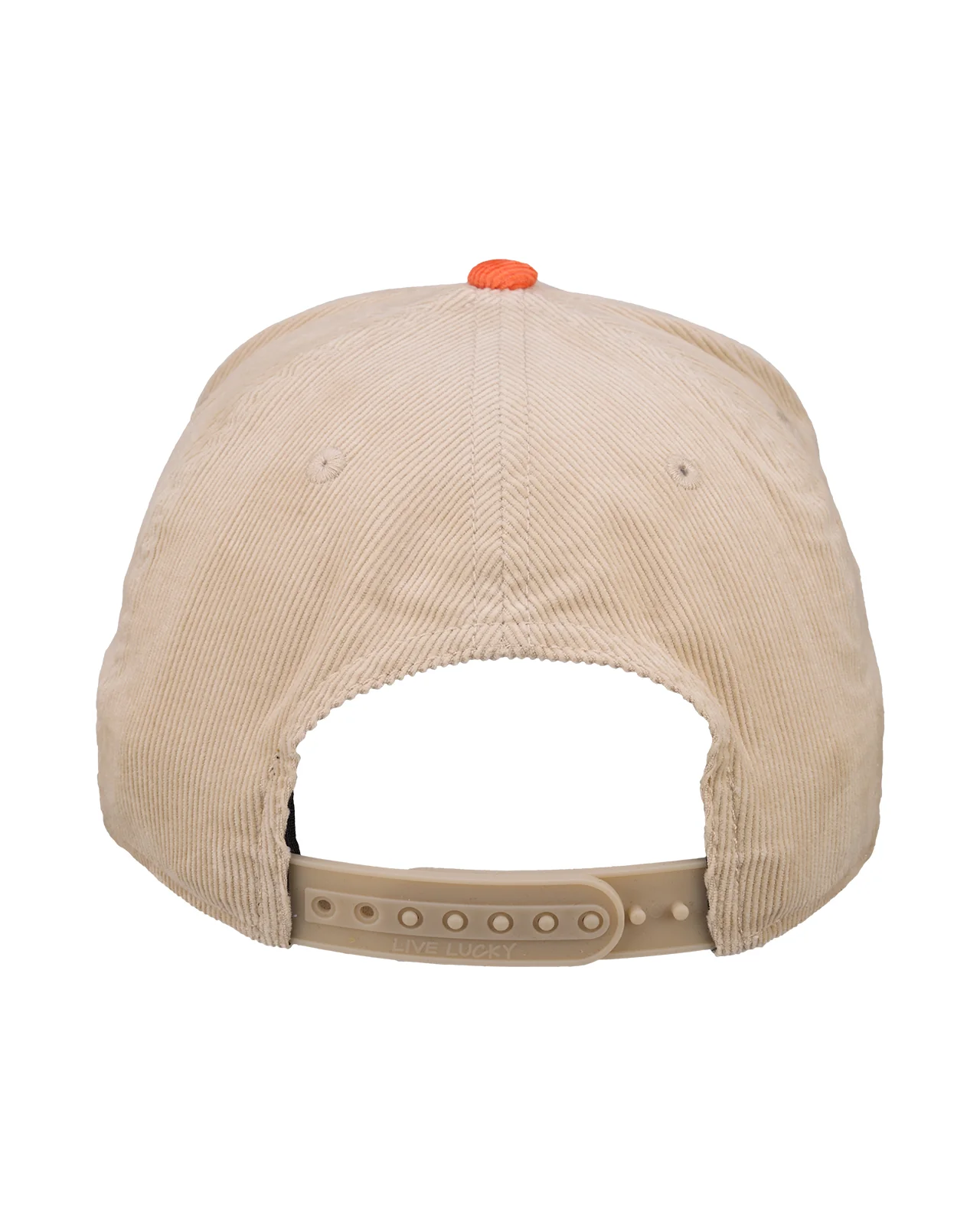 Syracuse Legacy - Image 7