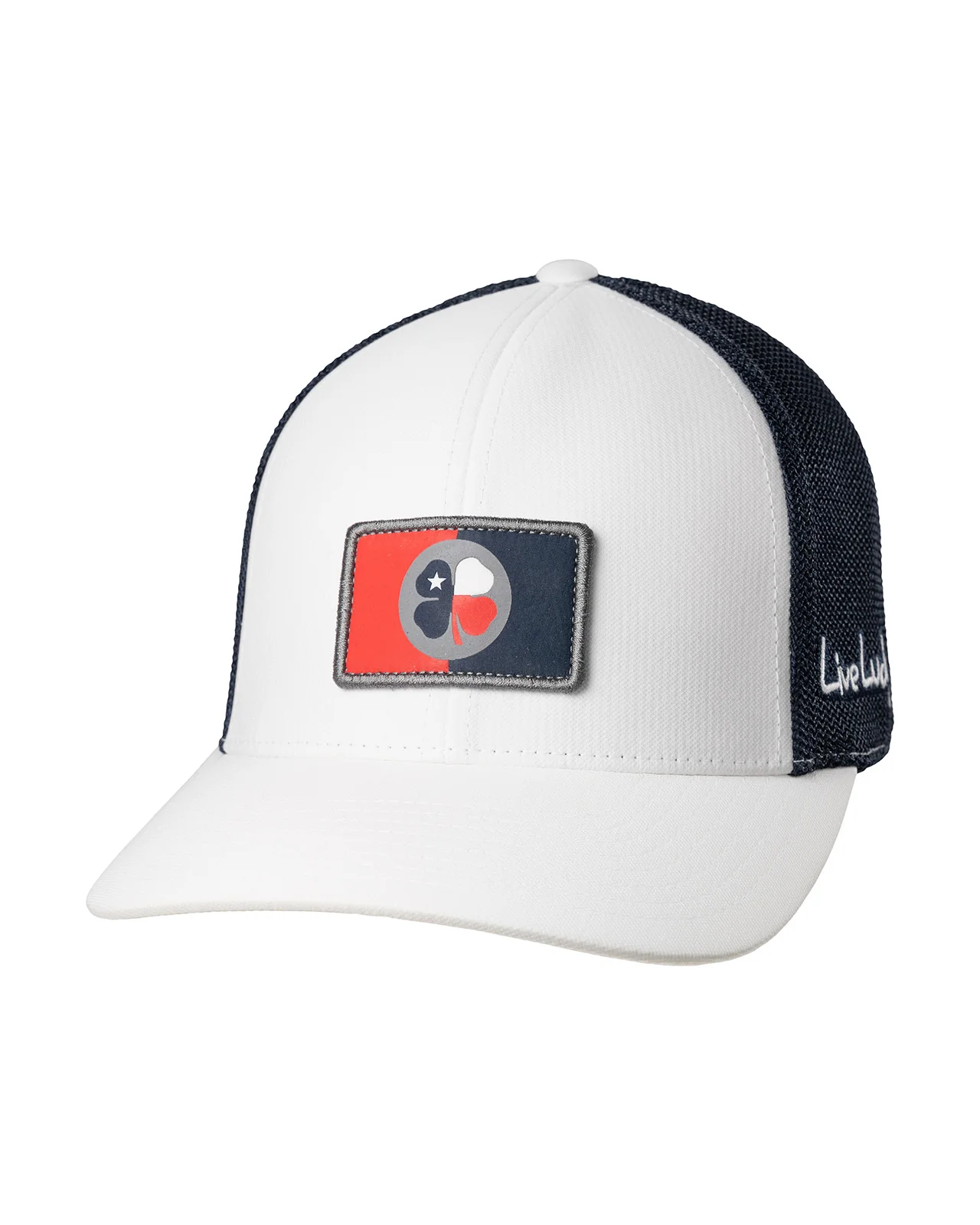 Texas Shield - Image 3