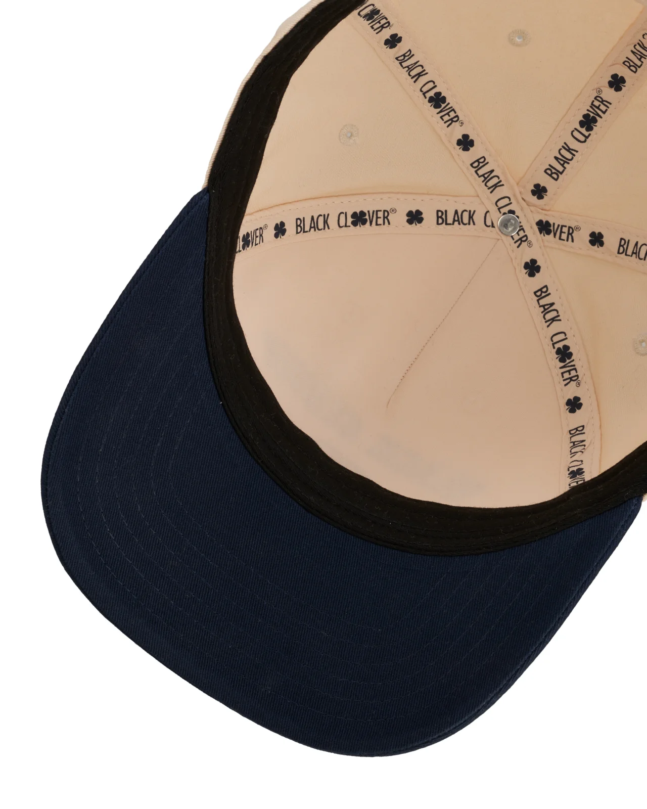Timeless 2 - Image 6