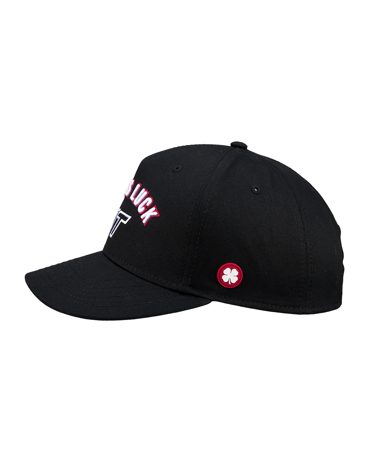 Virginia Tech Game Day - Image 3