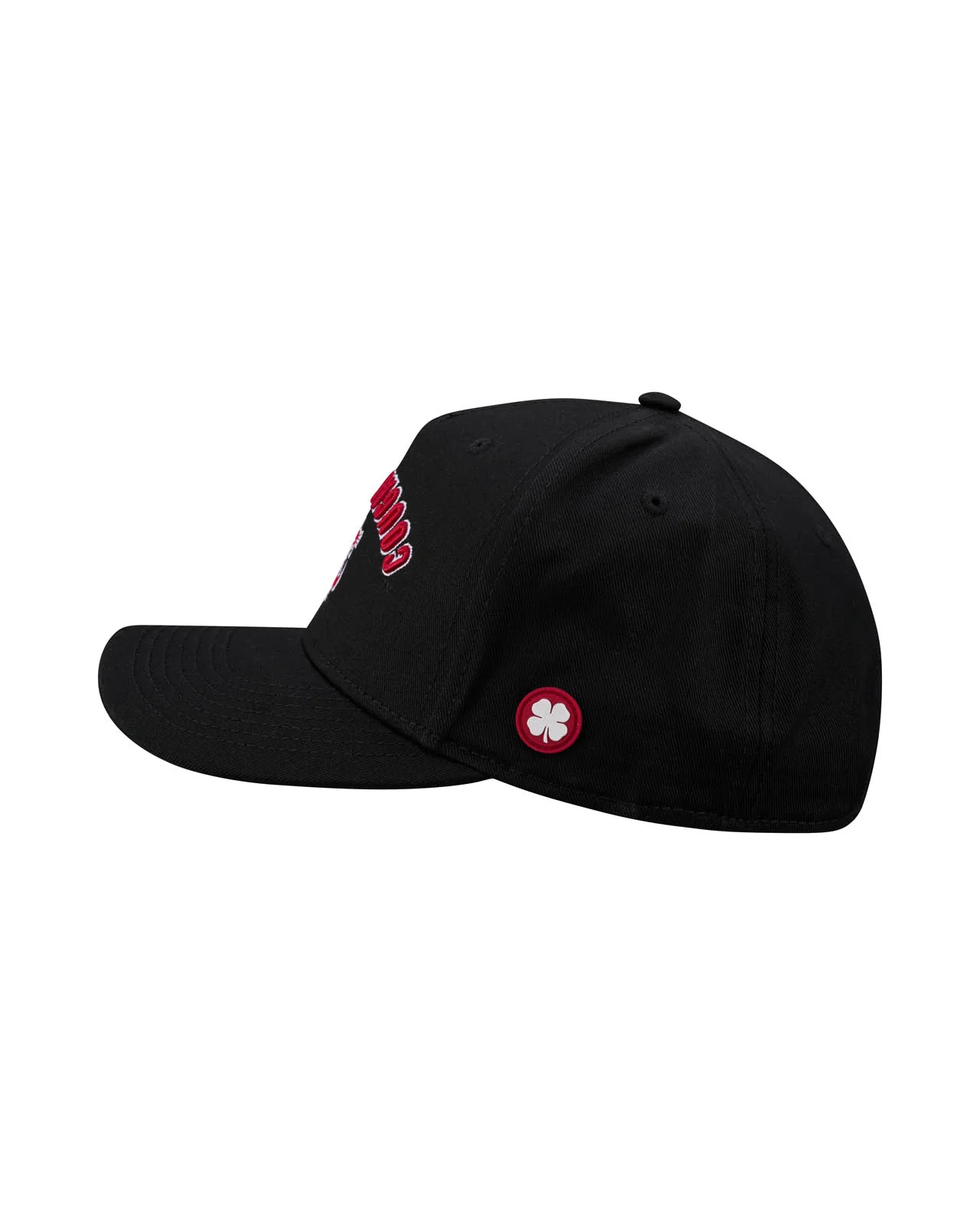 Washington State Game Day - Image 3