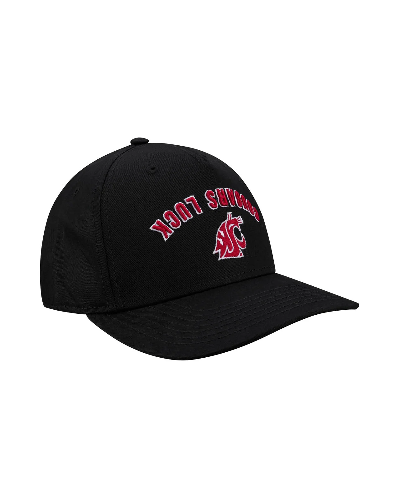Washington State Game Day - Image 4